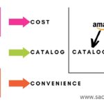 dunzo and zepto business strategies